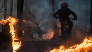 Phoenix reborn from the ashes, rising anew in flames.