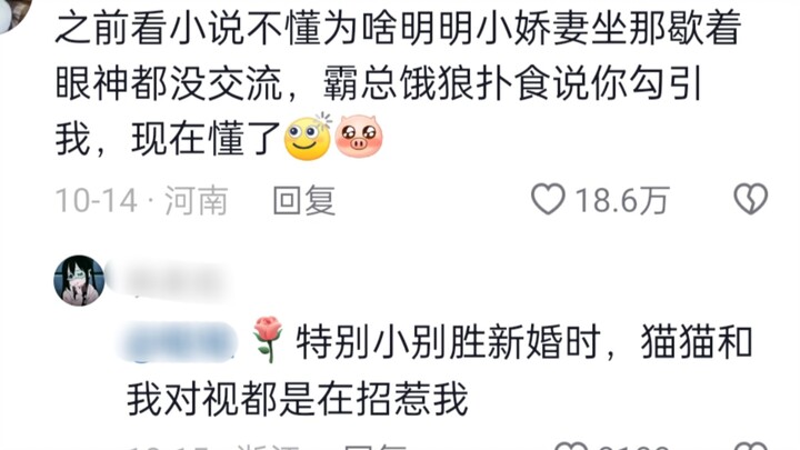 The mental state of cat owners is like this: questioning Lady Shiji, understanding Lady Shiji, becom