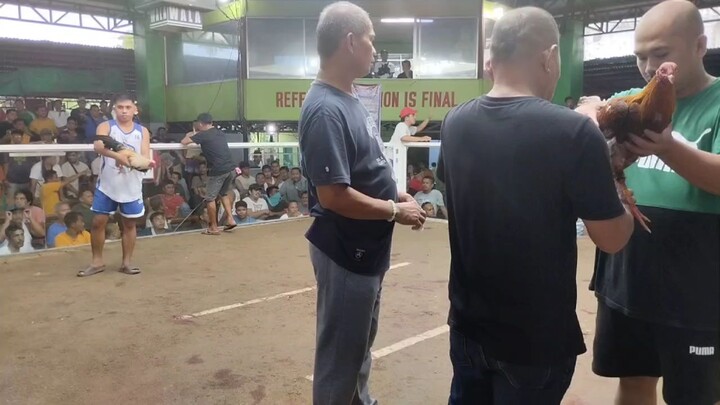 4 stag derby sogid cockpit arena dec.13 2024 third fight win