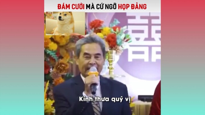 Ngỡ ngàng bật ngửa