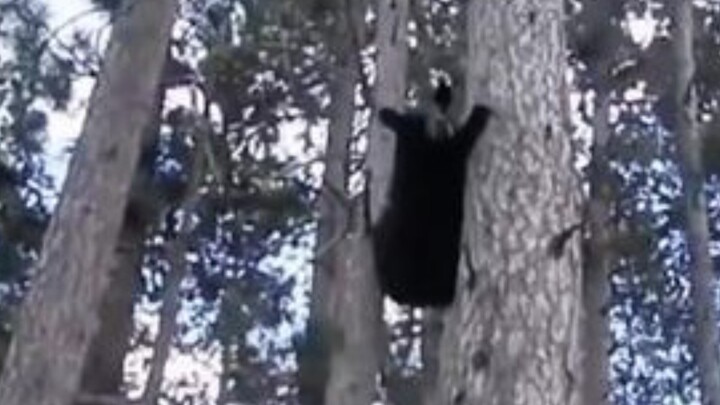 Dua poin terpenting untuk kebahagiaan: pertama, mudah melupakan; kedua, mudah tertawa.