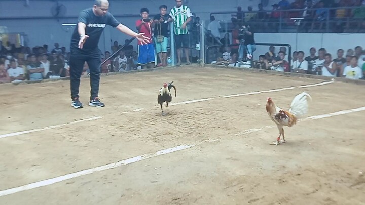 third fight (champaca)coliseo de manila