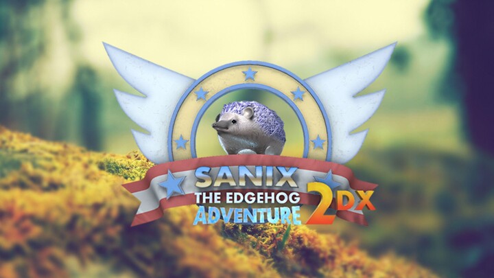 Sanix the Edgehog Adventure 2DX