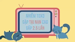 Thuyết âm mưu về lý do loài người thích mèo - Nhện Tâm Lý#3.2