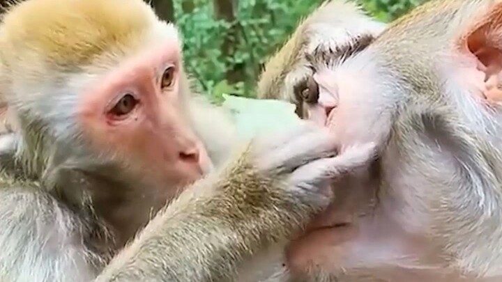 Don’t move, or you’ll go blind!