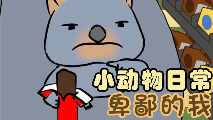 Despicable Me 🐨🍫🍑 - [Daily Life of Small Animals | Natural Habitat Shorts] No subtitles to add