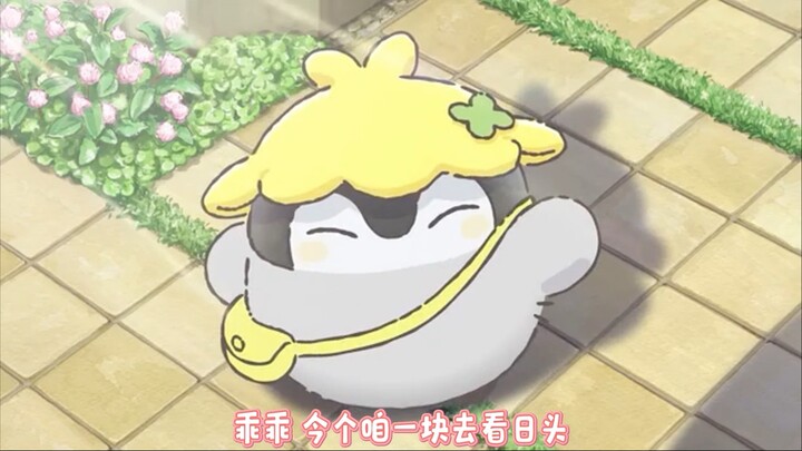 Henan Positive Energy Penguin
