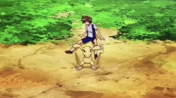 The encounter between Taiyi and Agumon in the past, the ball beast is so big, round and cute, the st