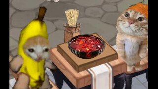 แมวกล้วยหอมสักทีก็ใจกว้างสักครั้ง เชิญเพื่อนมากินโป๋โป๋จี