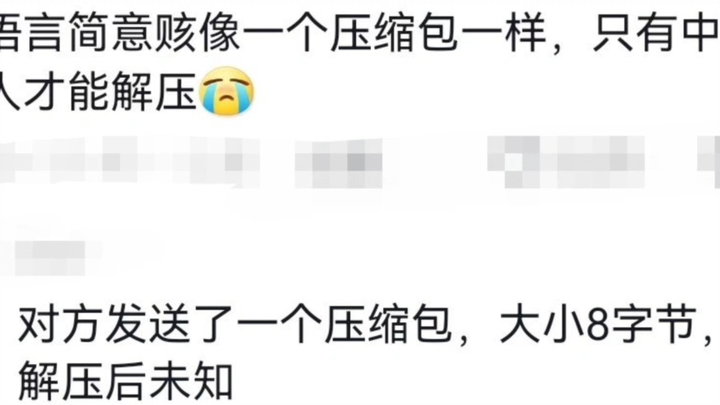 What do Chinese idioms mean to Chinese people?