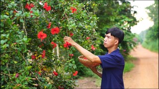 Cua Nấu Canh với Cây Hoa Dâm Bụt Của Chàng Trai Làng