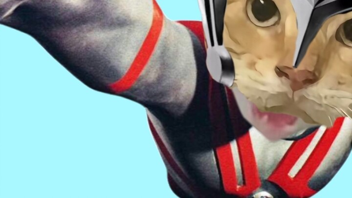 🐱Ace Hakimi🐱《⚡M Ultraman Love (ウルトラマンエマ)⚡》