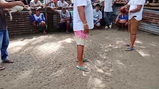 Biboy Enriquez White Kelso