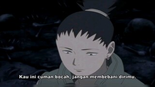 SHIKAMARU NARA   terlihat cuek tapi sebenarnya perhatian
