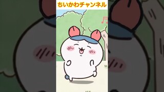 【ちいかわ】ハチワレのカニ衣装バージョン(タパスタダンス)