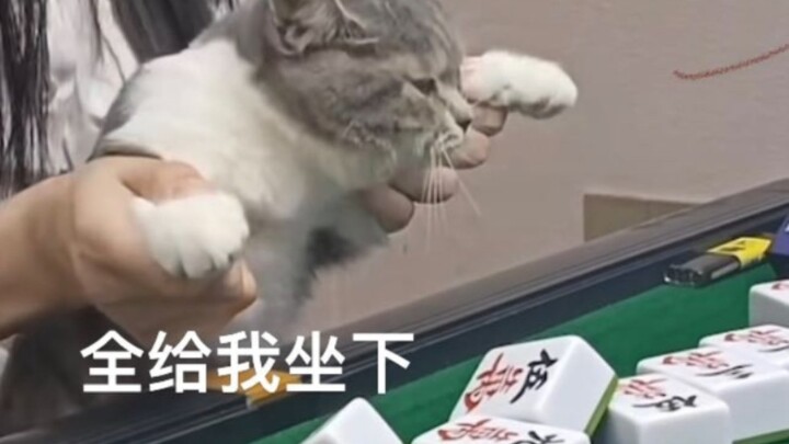 I told you there was something fishy about these cards!!