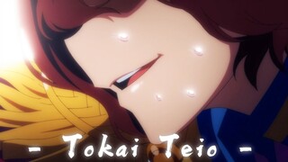 【泛式/剧情MAD】无败的陨落，奇迹的复活!「T.E.I.O」