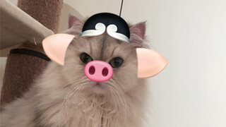 救命！！这个特效也太写实了吧哈哈哈哈