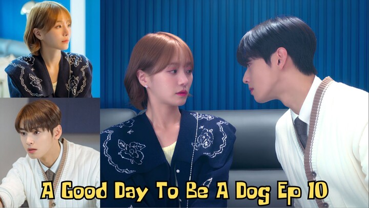 A Good Day To Be A Dog Eps 10: Pasangan Guru Honorer Mulai Diteror