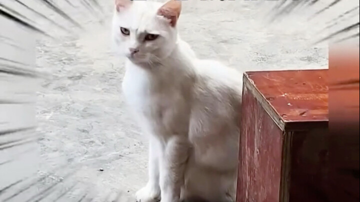 Did you just call me Mimi?