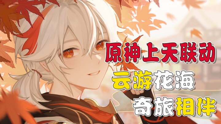 Genshin Impact hợp tác siêu cấp, du ngoạn biển hoa, đồng hành trong chuyến phiêu lưu kỳ thú