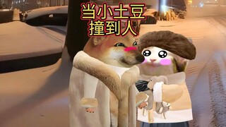 当小土豆来东北吃饭时撞到客人