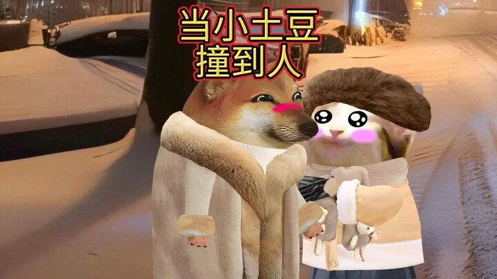 当小土豆来东北吃饭时撞到客人