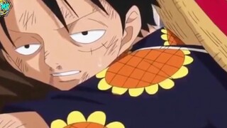 24 Lần Nữ Thần Vận Mệnh _Mỉm Cười_ Với Luffy _ One Piece p9