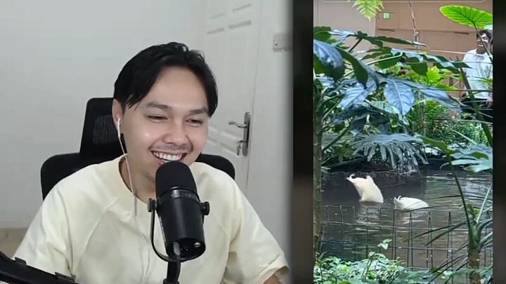 Reaction Teguh Suwandi