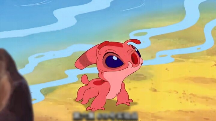 วัตถุทดลองแปลงร่างเป็นวัวและม้า ตอนที่ 6: ครกเปลี่ยนเป็นไฟแช็ค?