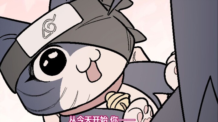 转生成为猫的OBITO（2）