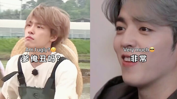 [SEVENTEEN/Immoral Subtitles] "What should I do? It doesn't seem like they're acting."