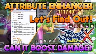 Can Attribute Enhancer Boost Your Damage? Lets Find Out [ROX]