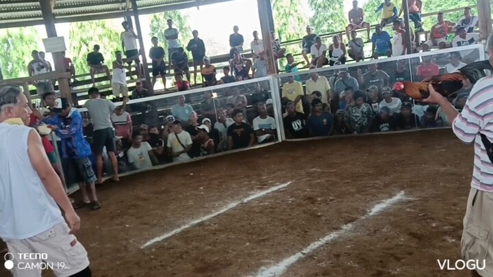 HIGH ACTION line win