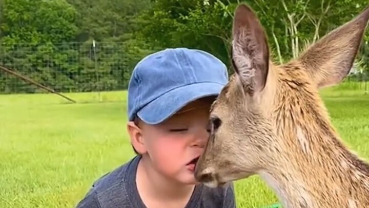 “Trẻ con thật sự dễ được động vật quý mến!”