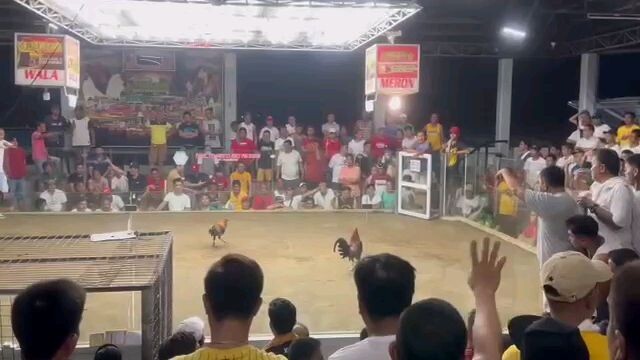 3rd fight charity derby of Pare Chris