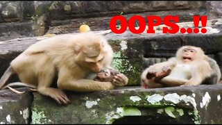 OOPS..!! DON'T TRY​ TO HURT BABY, MONKEY ROSE WANT BABY PLAY BUT BABY DOESN'T NEED ROSE TO PLAY WITH