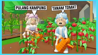 Aku Dan Adiku Pulang Kampung Menjadi Petani Di Roblox Brookhaven ft @Shasyaalala