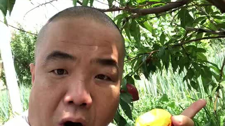 Đạo Ca, ông trùm quyền lực của thế giới song chiều, đã chính thức gia nhập Bilibili. Nếu không theo 