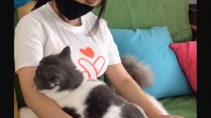 هذا ما يسمى بانفجار الحليب!!!