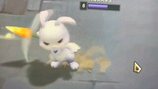 الأرنب بـ 6 يوانات جيد حقًا