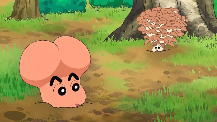 Crayon Shin‑chan: Shin‑chan dan yang lainnya berubah menjadi jamur di tengah hutan, sementara sang k