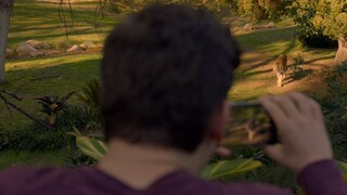 【宇哥】男子调戏动物园猛虎，老虎一气之下窜出围墙，完蛋鸟……《紧急呼救08》