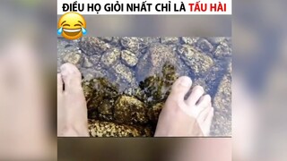 Khi bạn sinh ra để tấu hài#haihuoc#2