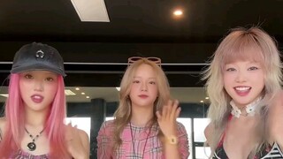 Vocalists团结起来 241005 XG Vocalists unite