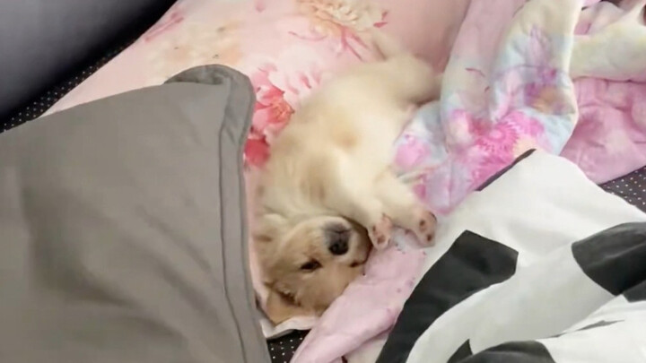 تعرف جدتي أنني أحب المفاجآت، لذلك أعدت لي مفاجأة