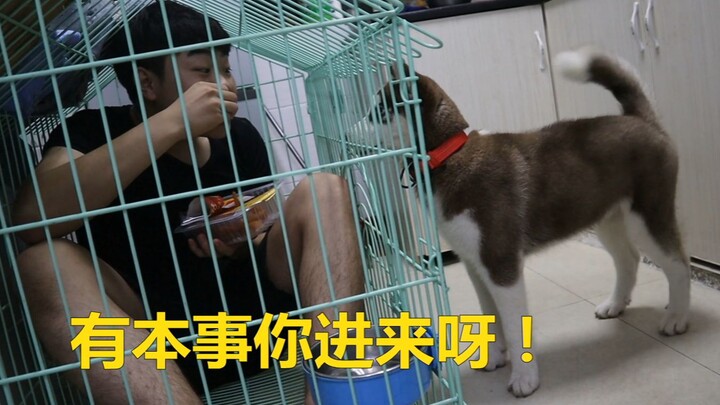 Cat owner: If you’ve got the guts, come in—come on in, and I’ll give you food!