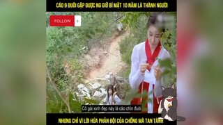 Cáo 9 đuôi biến thành người