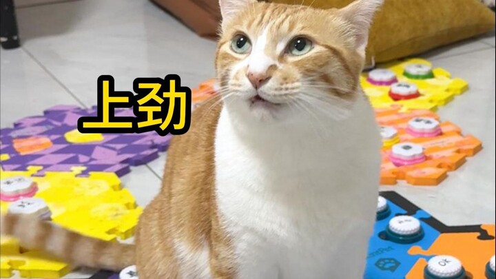 Mao Mao, I’m so… sleepy…