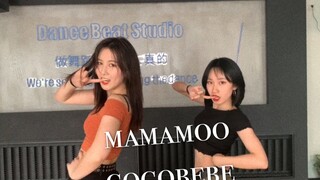 120斤与80斤同框合跳mamamoo-gogobebe！        太刺激啦！